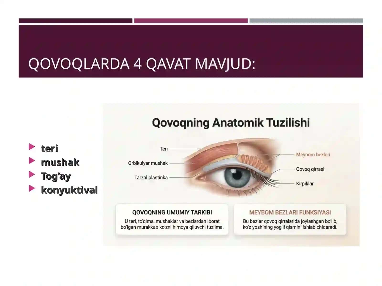 QOVOQ KASALLIKLARI 2