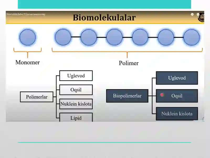 Biomolekulalar: oqsillar, uglivodlar, lipidlar 2