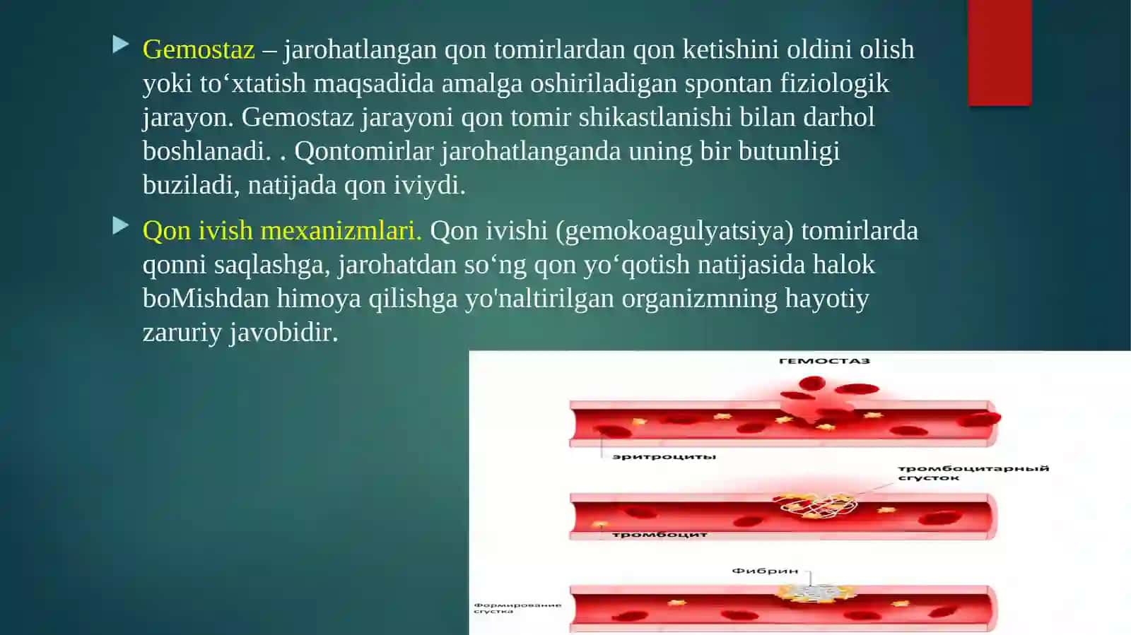 Gemostaz.Fibrinoliz 2