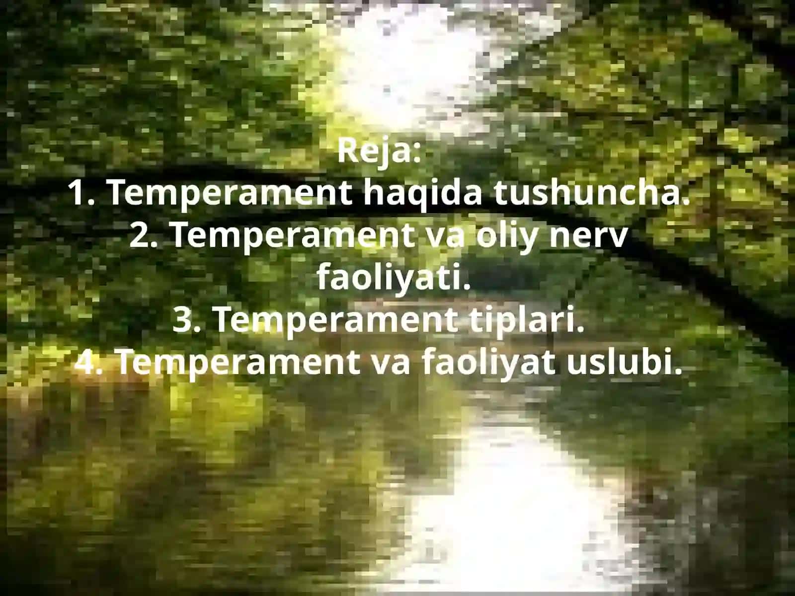Temperament va faoliyat uslubi 2