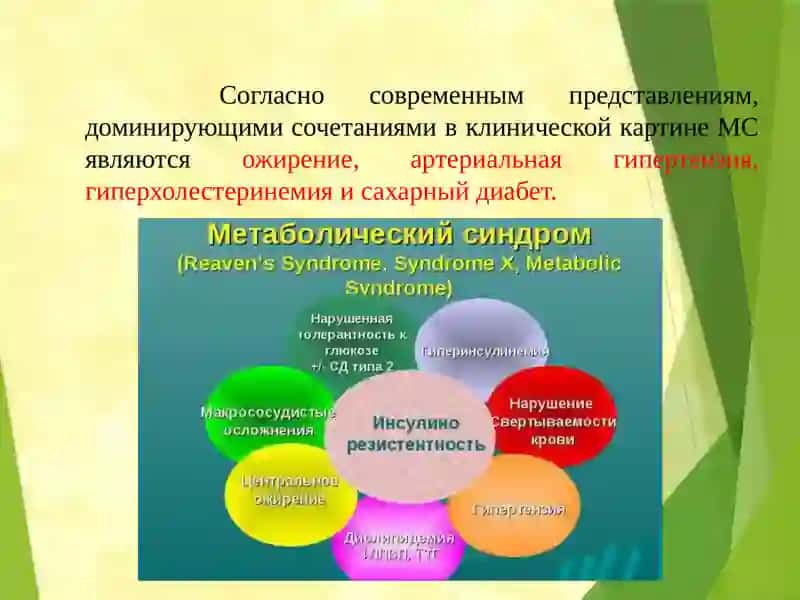 Влияние питания на возникновение Метаболического синдрома 2