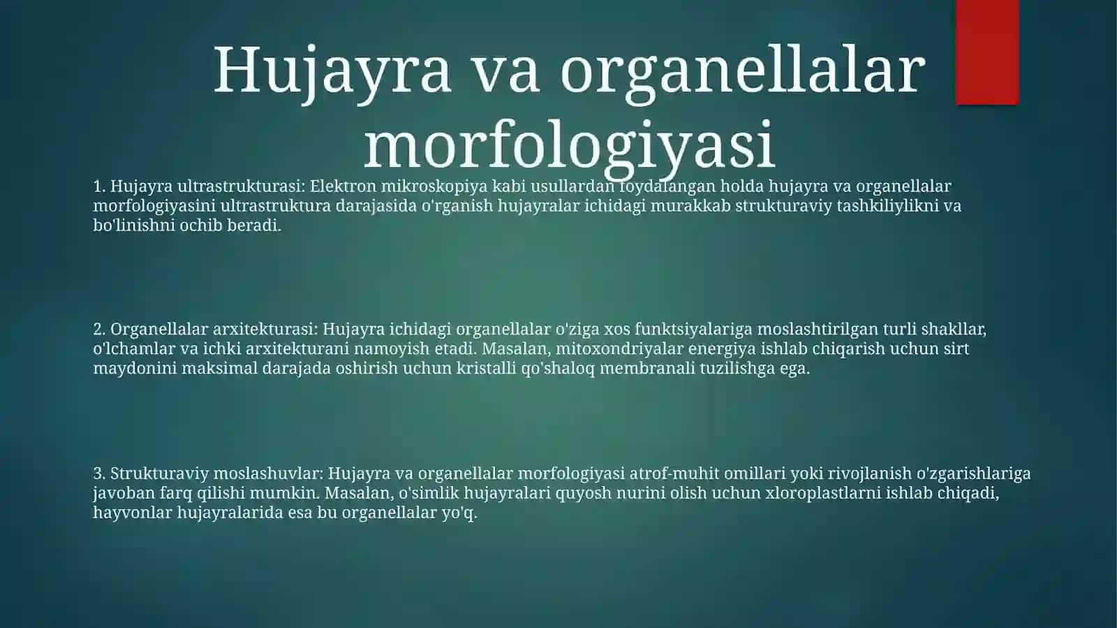 Hujayra Va Organellalarning Morfologik Jihatdan Tuzilmaviy Asosi 2
