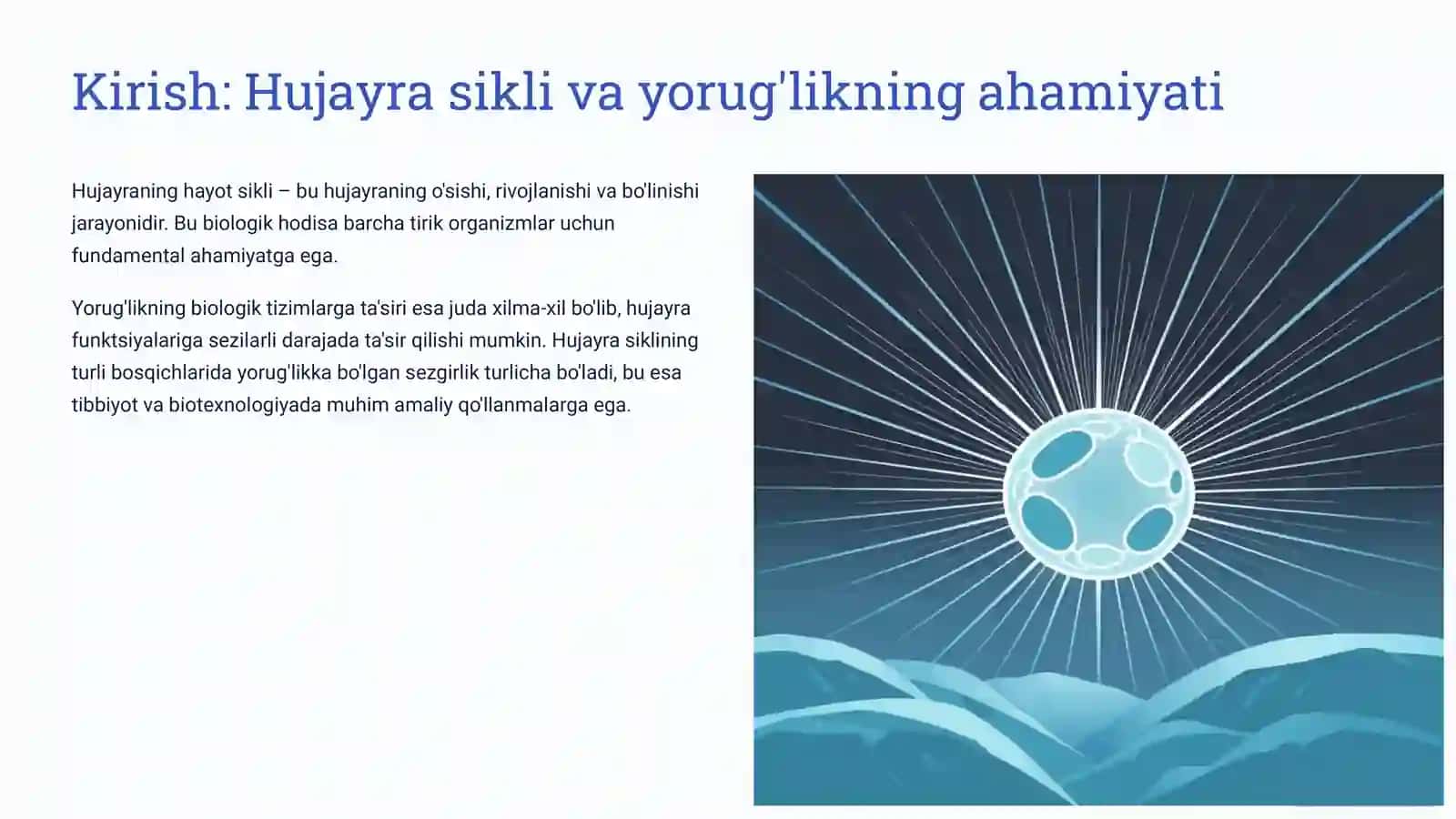 Hujayraning hayot sikli va uning turli fazalarida nurga sezgirlik 2