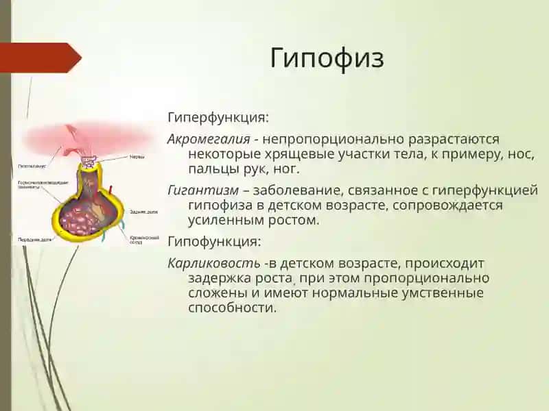 Эндокринные нарушения 2