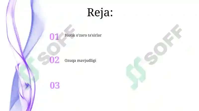 Tillo 2