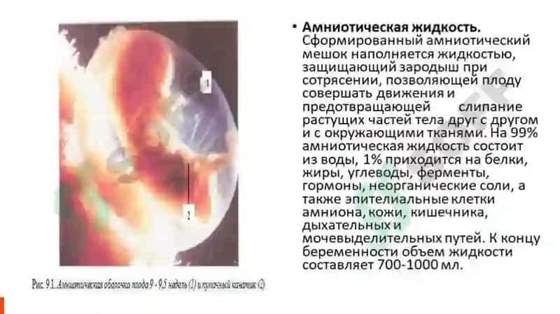 Qo'g'onoq suvining muddatidan avval kelishi 2