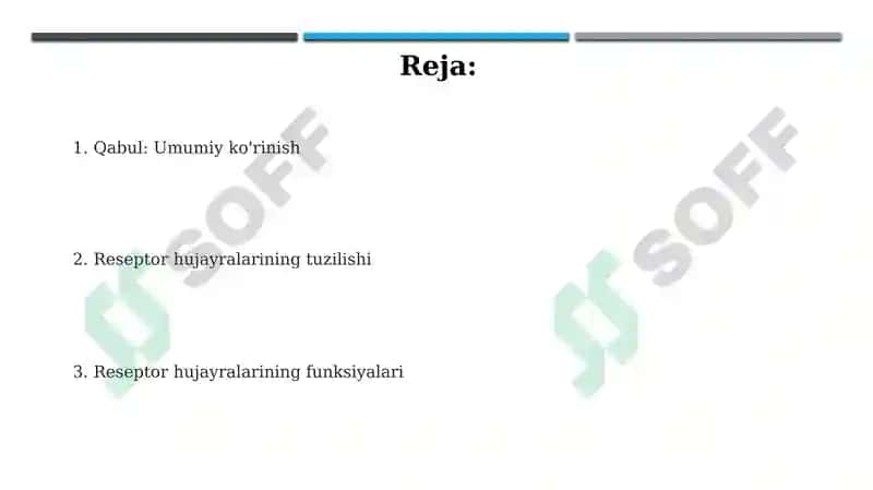 Qabul qilish, retseptor hujayralari, tuzilishi va funksiyasi 2
