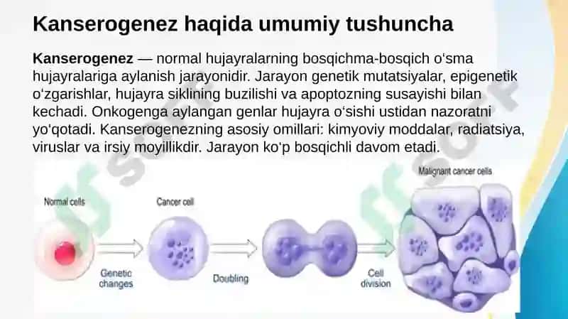 Kanserogenez . Kantserogenez asoslari 2