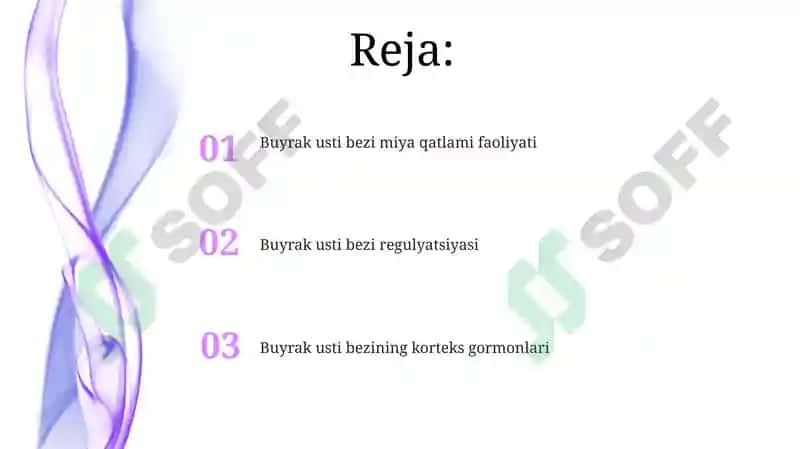 Buyrak usti bezi fiziologiyasi 2