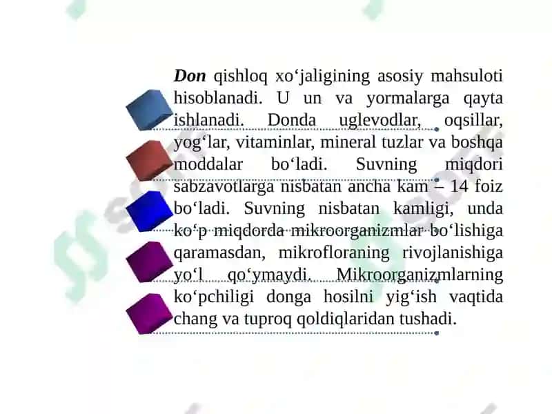 13-MA’RUZA.DON VA DON MAHSULOTLARININGMIKROBIOLOGIYASI 2