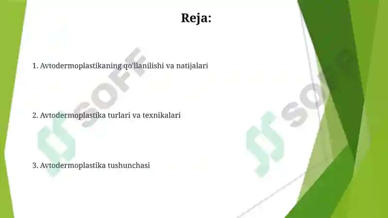 Autodermaplastika 2