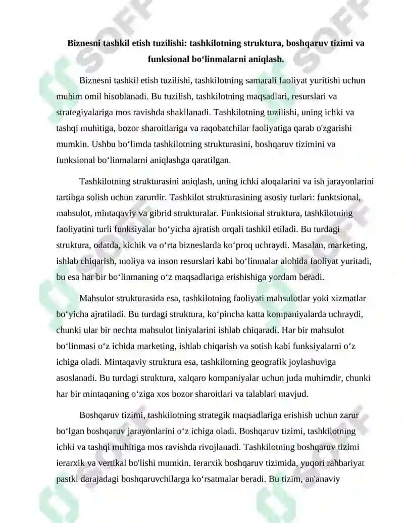 Biznesni Tashkil Etish Tuzilishi va Strategiyasi 2