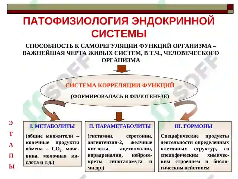 ПАТОФИЗИОЛОГИЯ ЭНДОКРИННОЙ СИСТЕМЫ 2