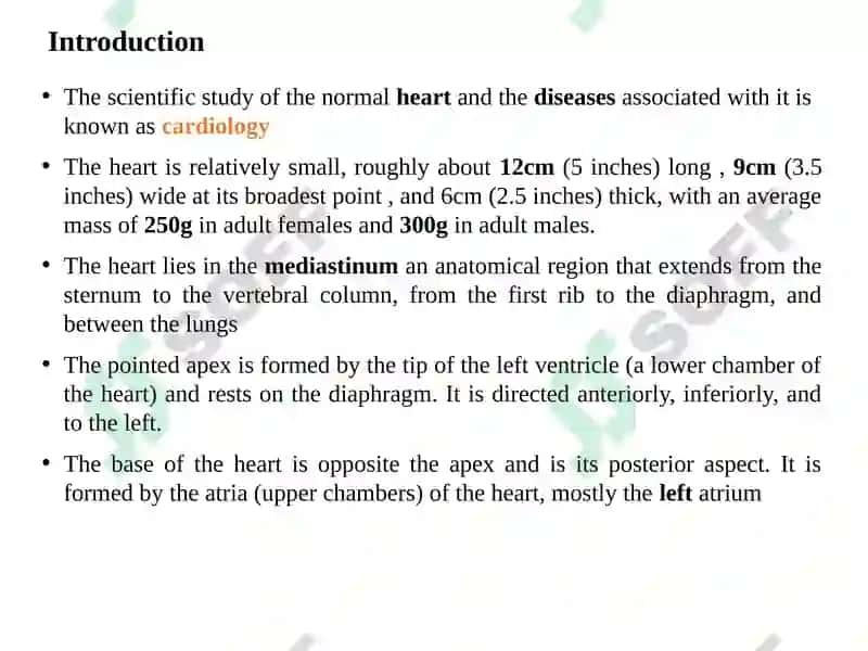 Cardiovascular system 2