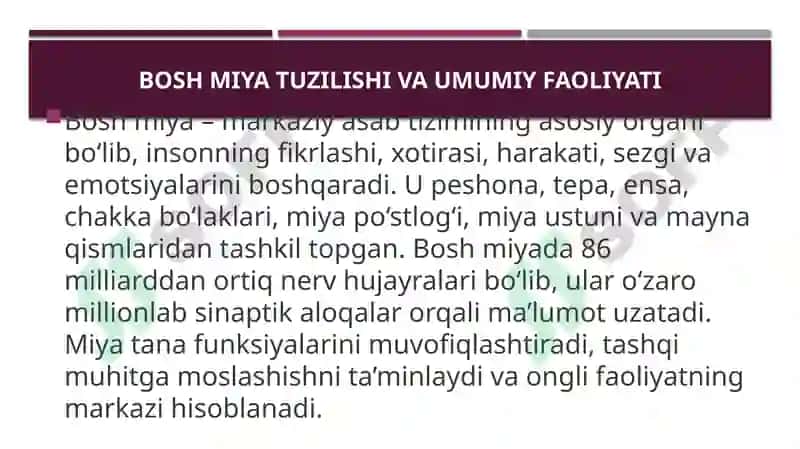 Bosh miyaning  ishlash tamoyillari 2
