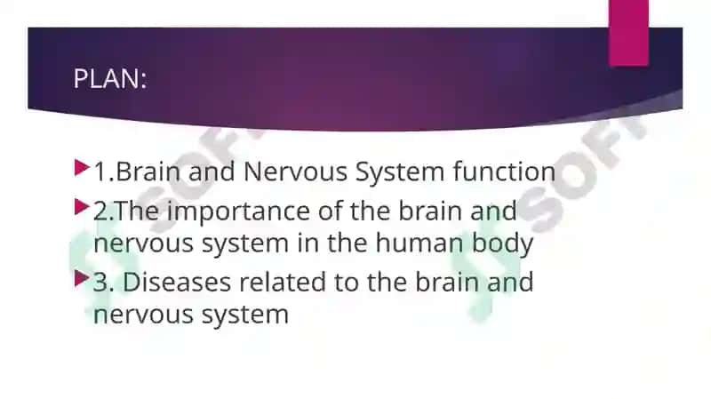 Brain and Nervous System 2