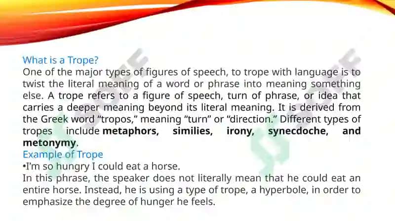 Tropes in English 2