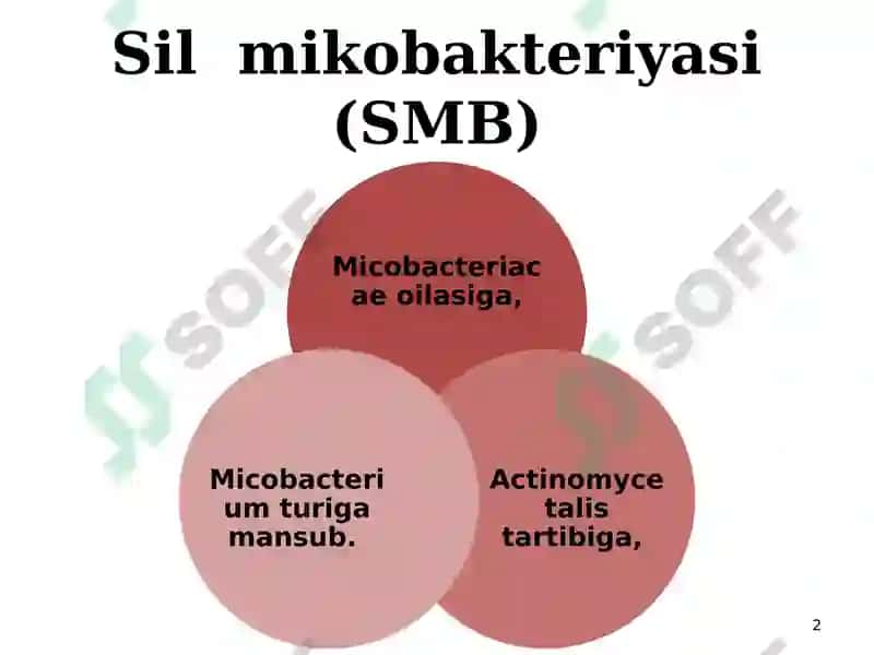 Sil kasalligini qo‘zg‘atuvchisi 2