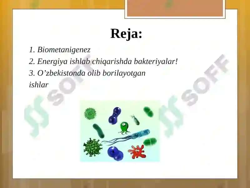 Biogaz ishlab chiqarish texnologiyasi 2