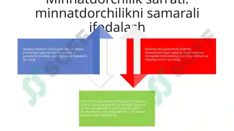 Minnatdorchilik 2