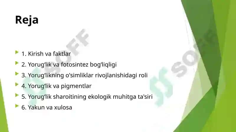 Yorugʻlikning oʻsimliklar hayotidagi ahamiyati 2