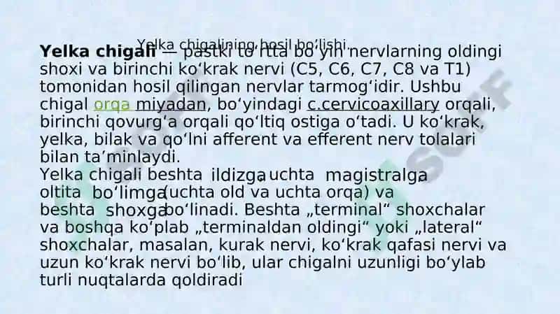 Yelkachigali Nervlari 2