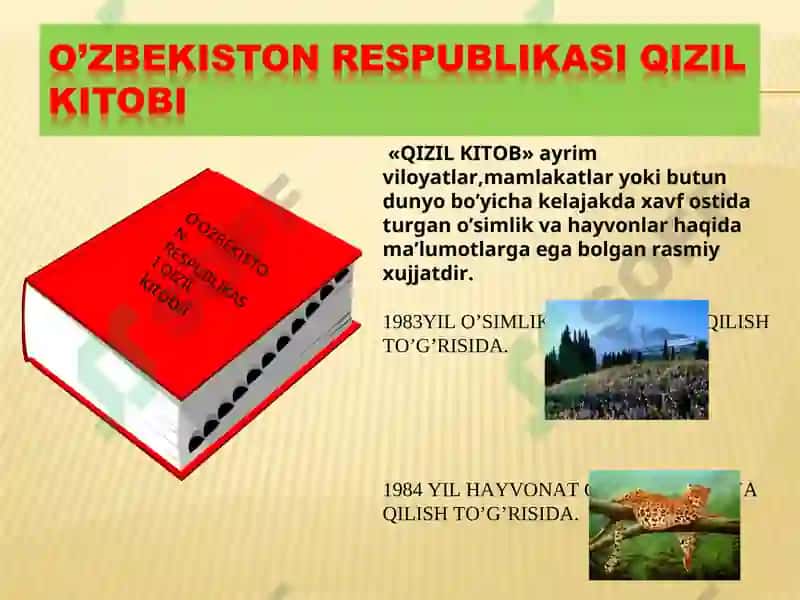 QIZIL KITOB 2
