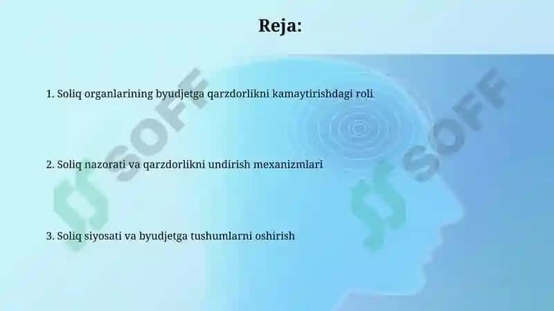 Soliq organlarining byudjetga qarzdorlikni kamaytirishda roli 2
