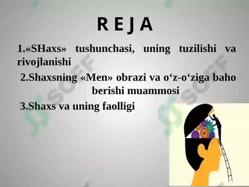 SHAXS 2