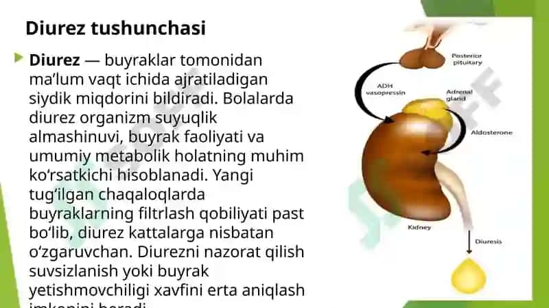 Bolalardagi dizuriya 2