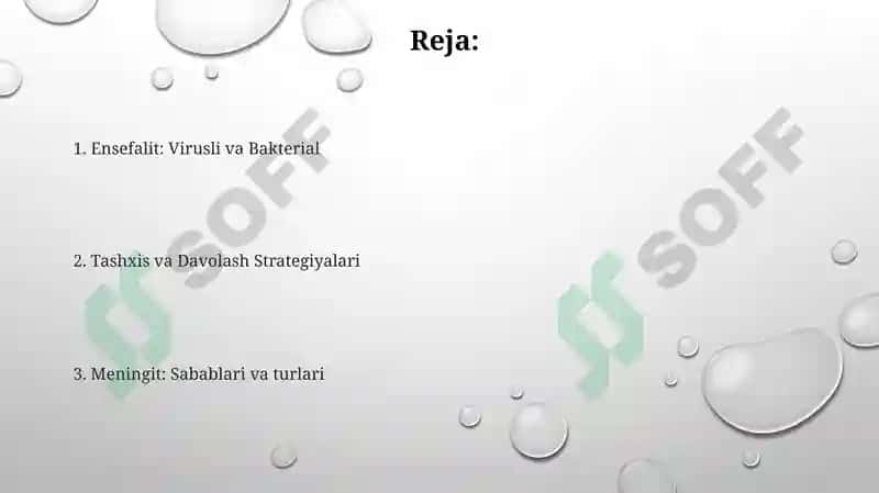 Meningit va ensefalit 2