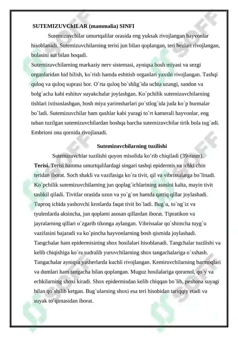 Sutemizuvchilar sinfi, ekologiyasi va evolyutsiyasi kurs ishi 2
