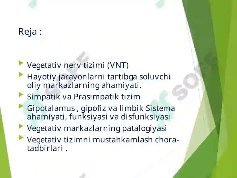 Vegetativ Nerv Tizimi (VNT) 2