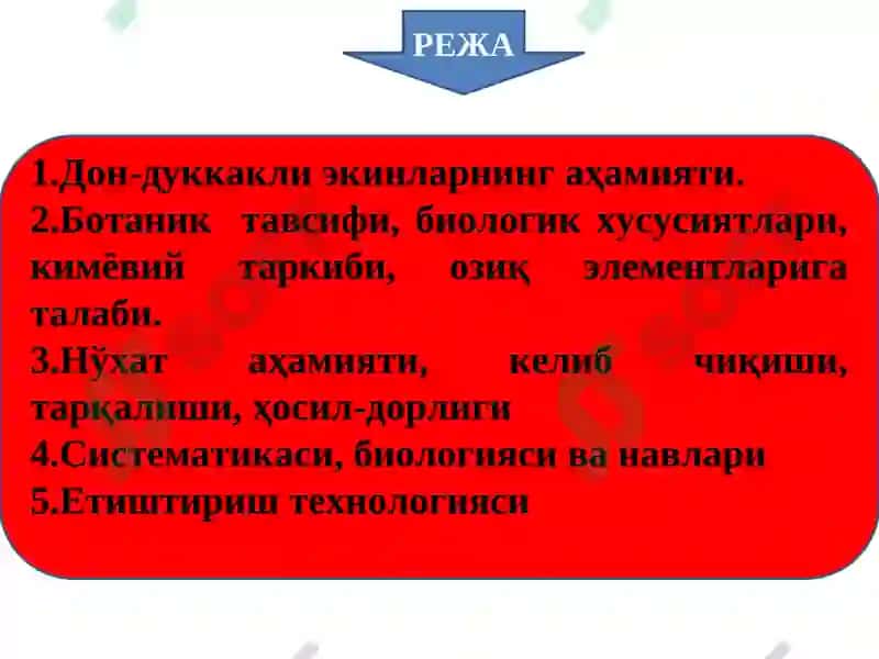 ДОН-ДУККАКЛИ ЭКИНЛАРНИНГ УМУМИЙ ТАВСИФИ ВА БИОЛОГИЯСИ 2
