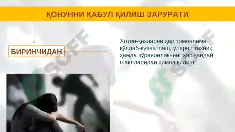 Хотин-қизларни тазйиқ ва зўравонликдан ҳимоя қилиш тўғрисида 2