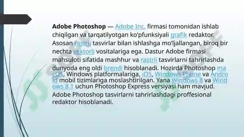 Adobe Photoshop 2