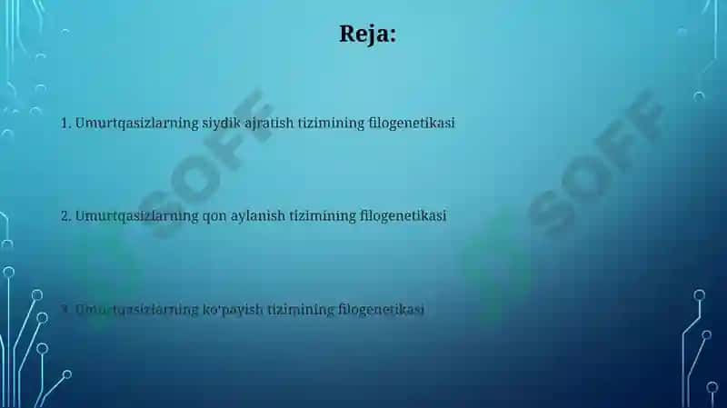 Umrutqalilar a'zolar tizimi filogenezi 2