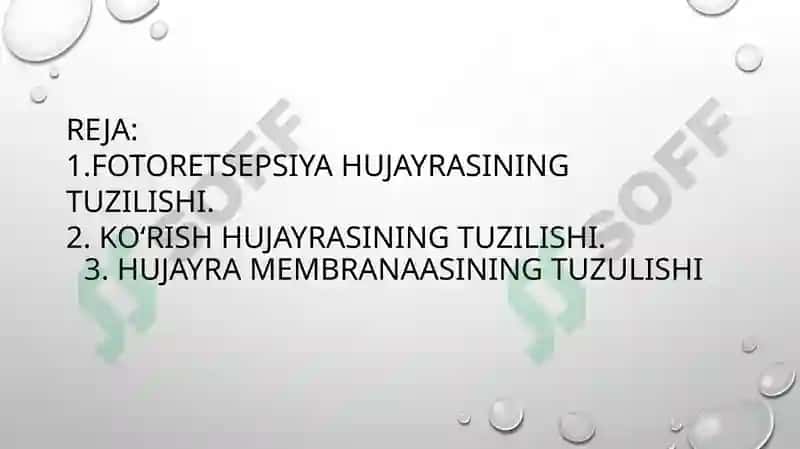 Fotoretseptsıya körısh hujayralarınıng tuzıshı 2