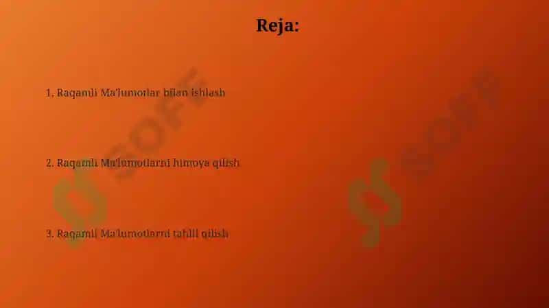 Raqamli Ma'lumotlar bilan ishlash 2