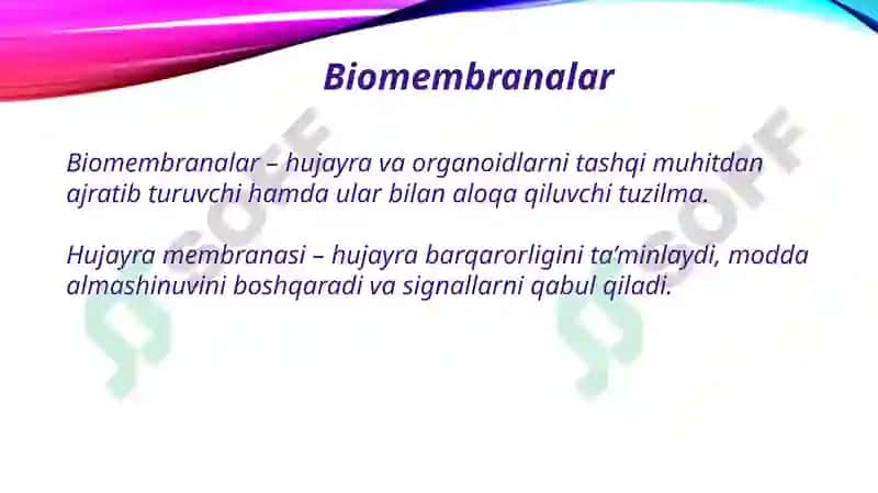 Biomembranalar. Membrana retseptorlari. Hujayralarga signallarni oʻtkazish yoʻllari 2