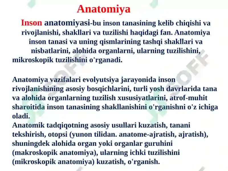 Inson anatomiyasi 2