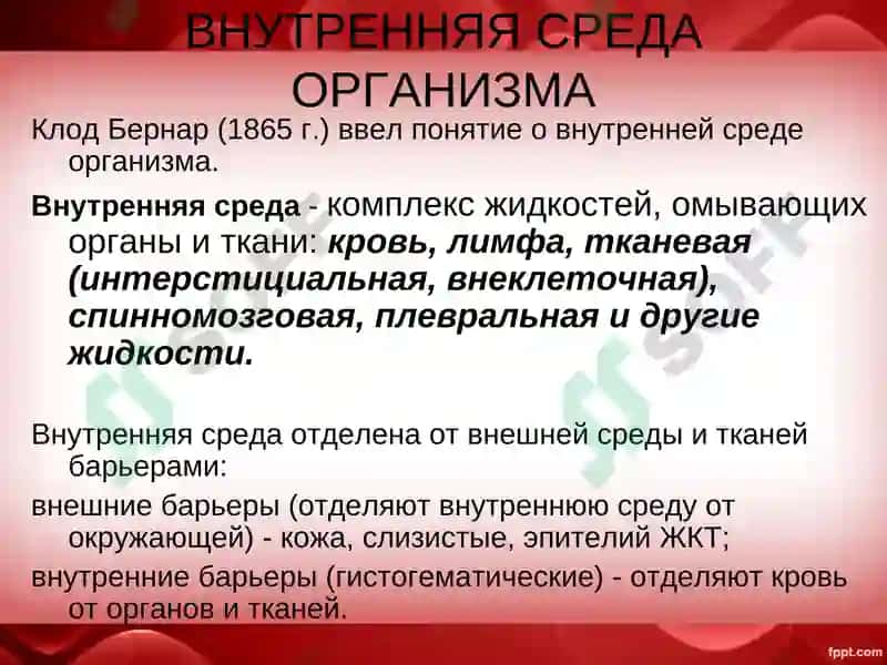 Qon tizimi 2