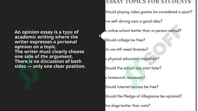 Opinion Essay Structure 2