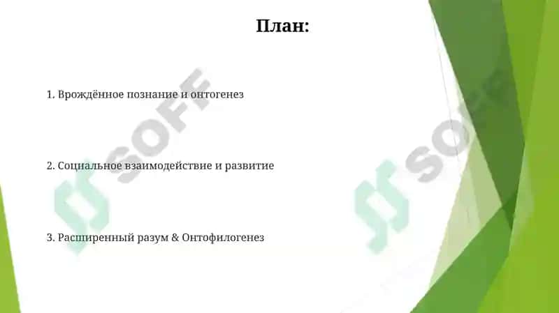 Онтофилогенетические развитие у человека 2