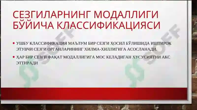 Сезгилар клаcсификацияси 2