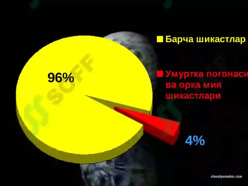 Умуртка погонаси ва орка мия шикастлари 2