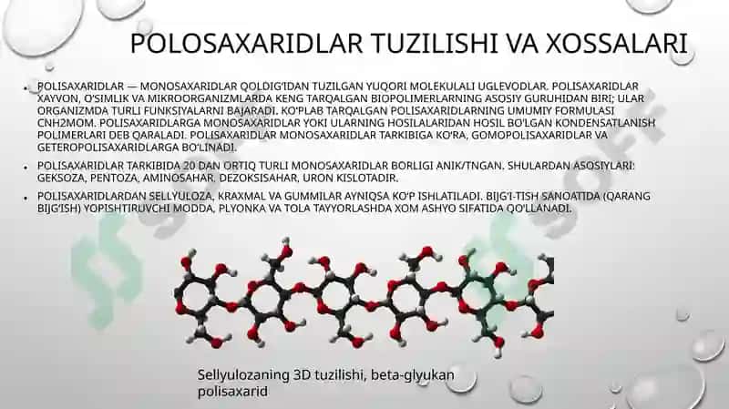 Polisaxaridlar 2