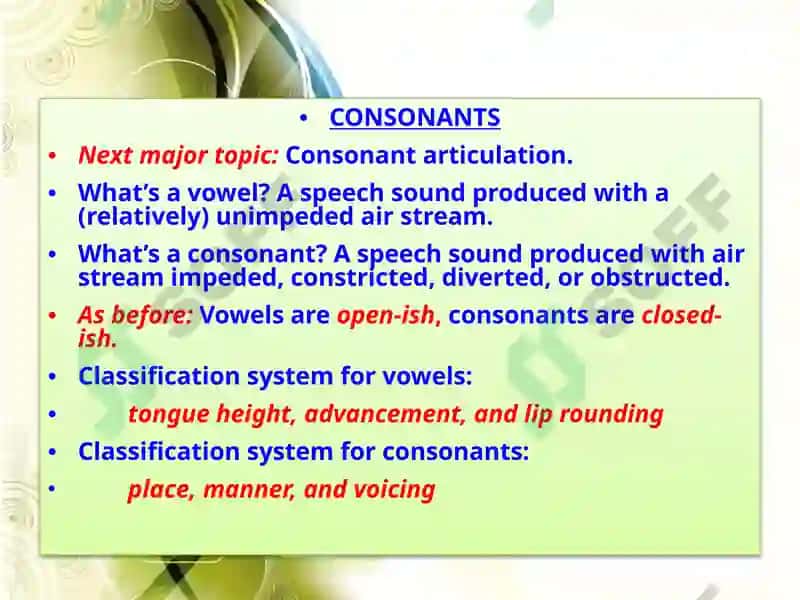 The System of Consonant Phonemes in English 2