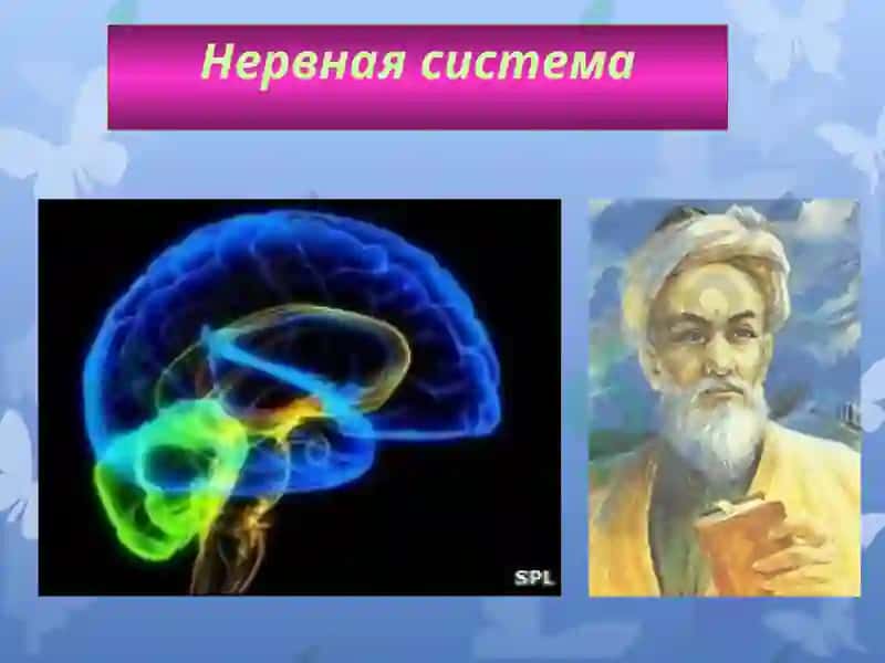 Презентация по дисциплине «Русский язык» 2