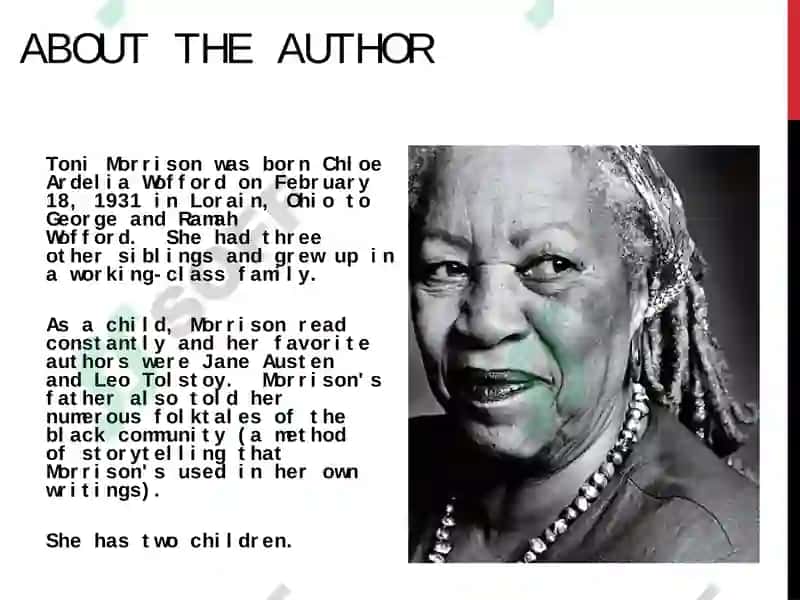 Toni Morrison 2